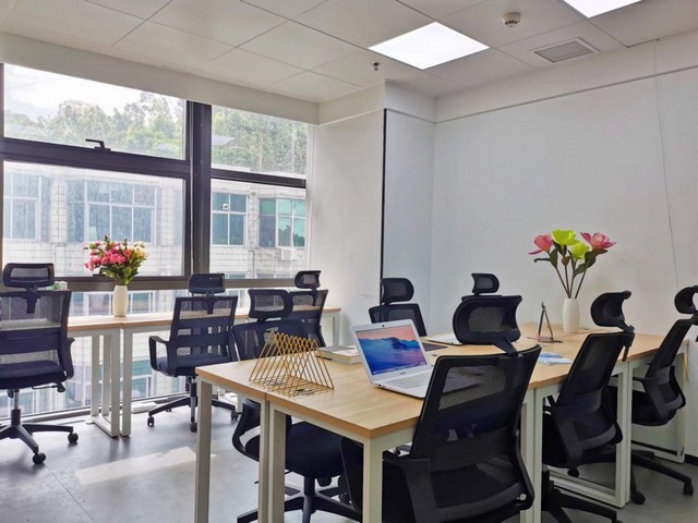 专业的宠物猫诊所电话